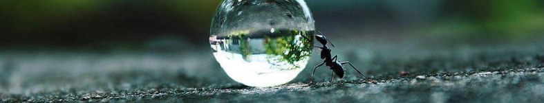 Banner profilu