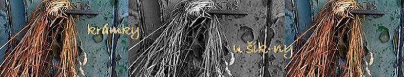 Banner profilu