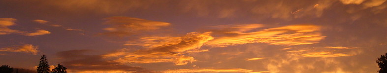 Banner profilu