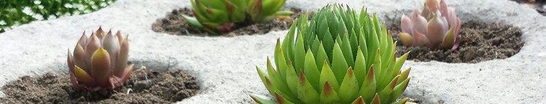 Banner profilu