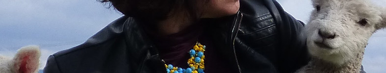 Banner profilu