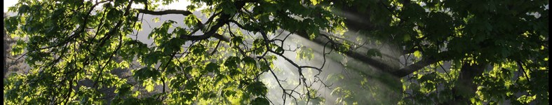Banner profilu