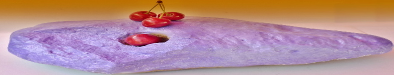 Banner profilu