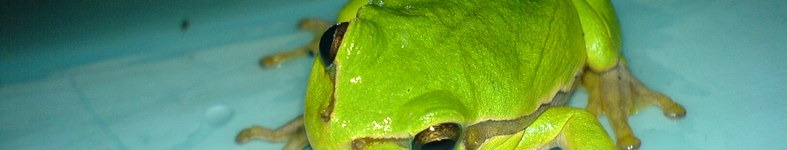 Banner profilu