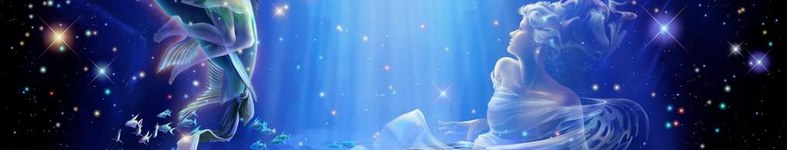 Banner profilu