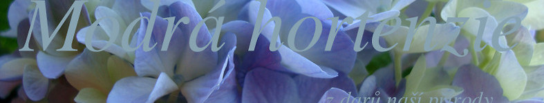 Banner profilu