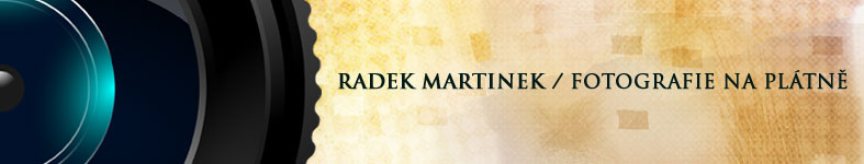 Banner profilu