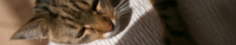 Banner profilu