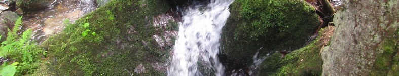 Banner profilu