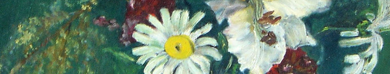 Banner profilu