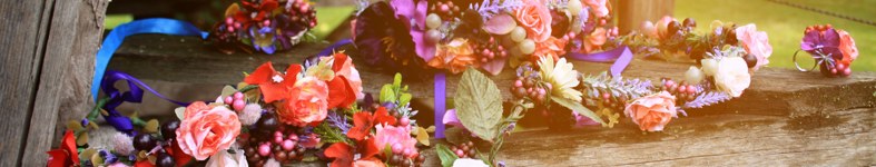 Banner profilu