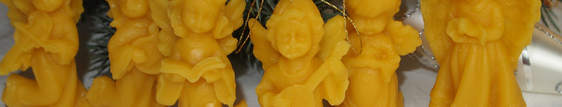 Banner profilu