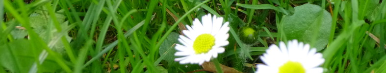 Banner profilu