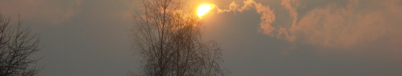 Banner profilu