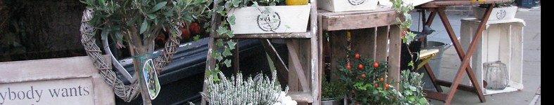 Banner profilu