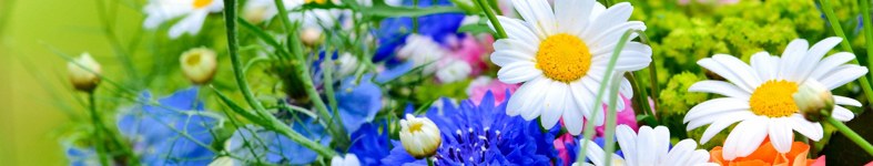 Banner profilu