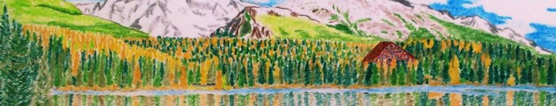 Banner profilu