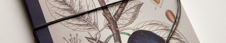 Banner profilu