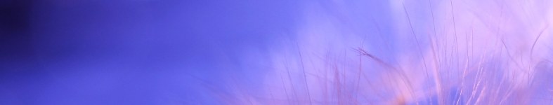 Banner profilu