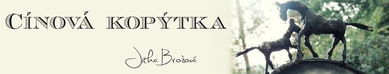 Banner profilu