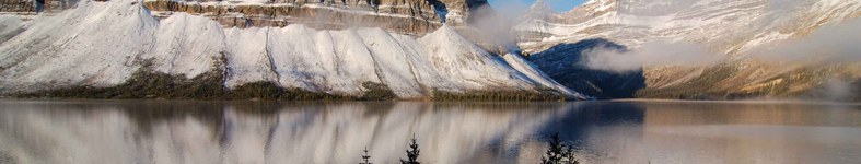 Banner profilu