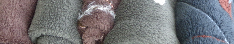 Banner profilu