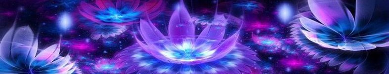 Banner profilu