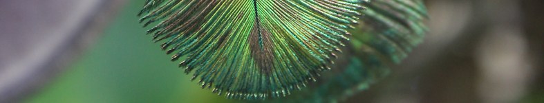 Banner profilu