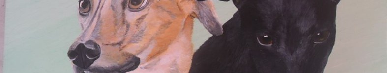 Banner profilu