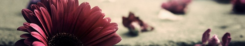 Banner profilu