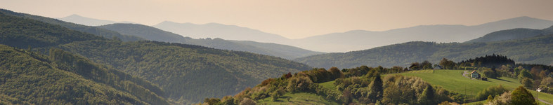 Banner profilu