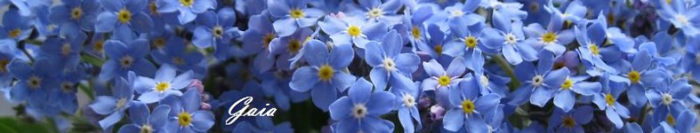 Banner profilu