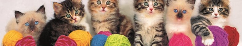Banner profilu