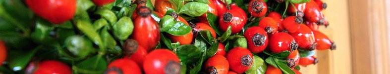 Banner profilu