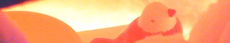 Banner profilu