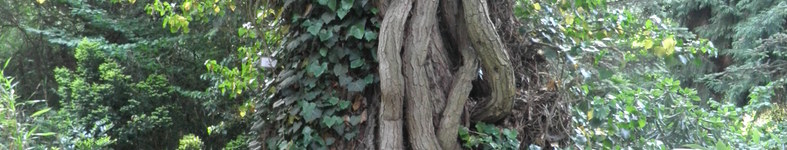 Banner profilu