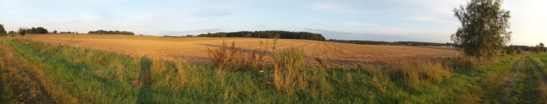 Banner profilu