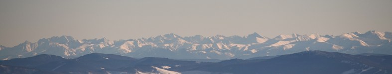 Banner profilu