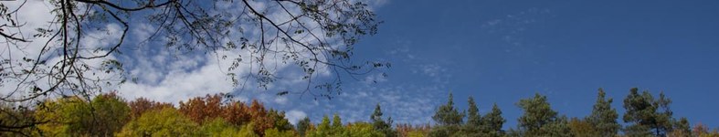 Banner profilu