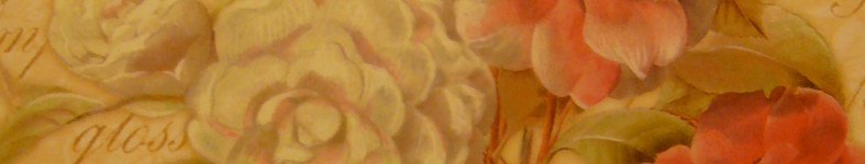 Banner profilu