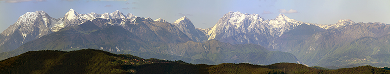 Banner profilu