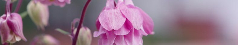 Banner profilu