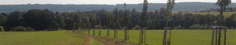 Banner profilu