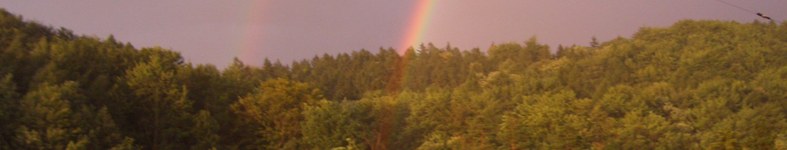 Banner profilu