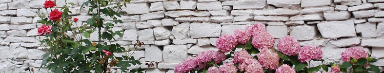 Banner profilu
