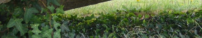 Banner profilu