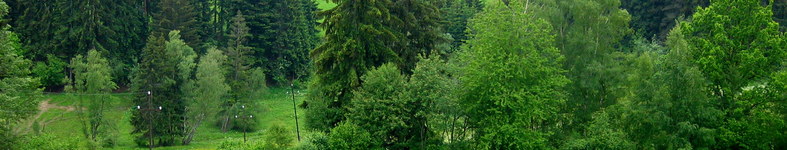 Banner profilu