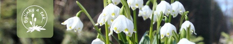Banner profilu