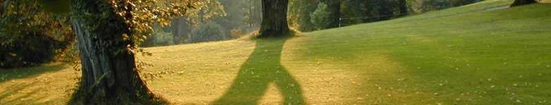 Banner profilu