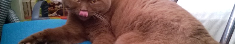 Banner profilu
